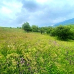 Парцел в с. Дивотино, Област Перник - 1138 кв.м за 8 €/кв.м - Снимка #1