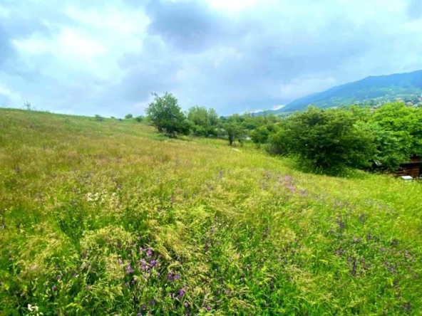 Парцел в с. Дивотино, Област Перник - 1138 кв.м за 8 €/кв.м - Снимка #1