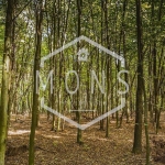 Парцел в с. Самоводене, Област Велико Търново - 44000 кв.м за 1 €/кв.м - Снимка #1