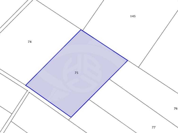 Парцел в Пловдив, Прослав - 4500 кв.м за 51 €/кв.м - Снимка #1