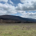 Парцел в с. Пряпорец, Област Стара Загора - 1350 кв.м за 9 €/кв.м - Снимка #1