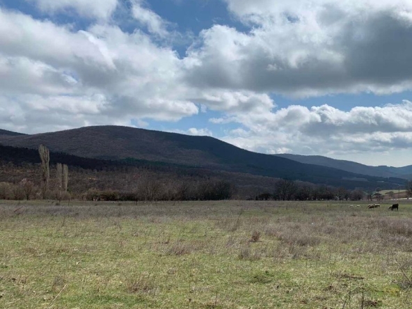 Парцел в с. Пряпорец, Област Стара Загора - 1350 кв.м за 9 €/кв.м - Снимка #1