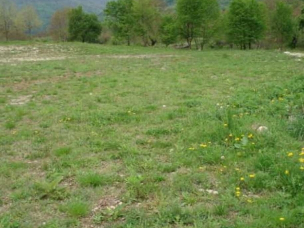 Парцел в с. Чифлик, Област Ловеч - 24175 кв.м за 14 €/кв.м - Снимка #1