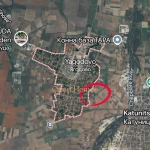 Земеделски имот в с. Ягодово, Област Пловдив -  кв.м за 26000 €/дка - Снимка #1