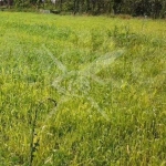 Парцел в с. Виница, Област Пловдив - 7572 кв.м за 8 €/кв.м - Снимка #1