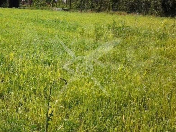 Парцел в с. Виница, Област Пловдив - 7572 кв.м за 8 €/кв.м - Снимка #1