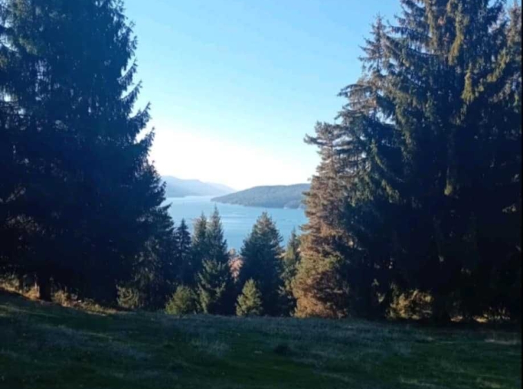 Парцел в Доспат - 2919 кв.м за 32 €/кв.м - Снимка #1