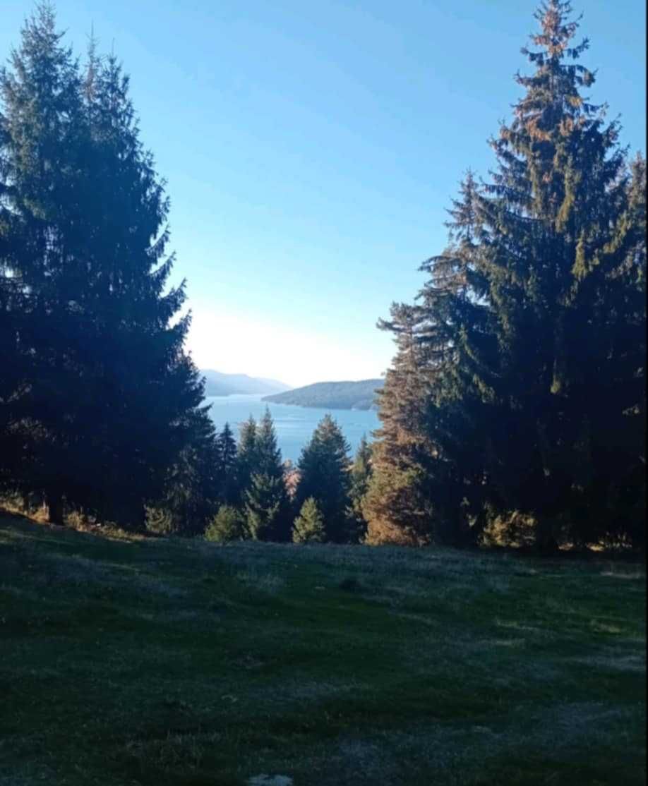 Парцел в Доспат - 2919 кв.м за 32 €/кв.м - Снимка #1