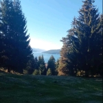 Парцел в Доспат - 2919 кв.м за 62 €/кв.м - Снимка #1