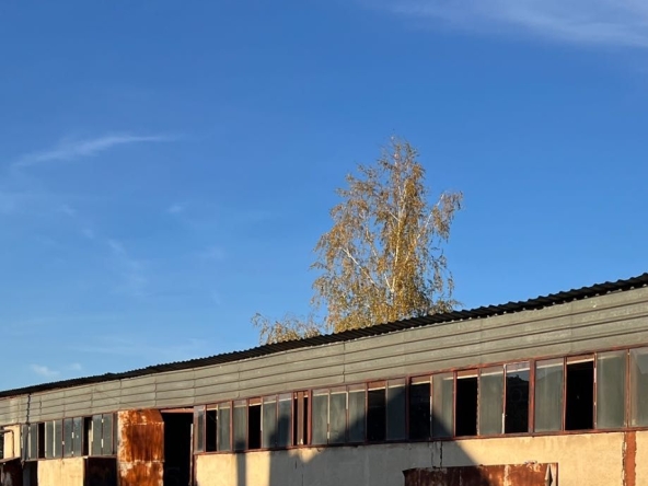 Дава се под наем Склад в София, СПЗ Модерно предградие - 270 кв.м за 1020 € - Снимка #1