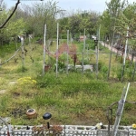 Къща в Варна, Изгрев - 46 кв.м за 1970 €/кв.м - Снимка #1