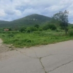 Земеделски имот в Провадия -  кв.м за 11 €/дка - Снимка #1