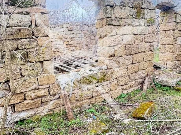 Парцел в с. Изгрев, Област Варна - 1400 кв.м за 21 €/кв.м - Снимка #1