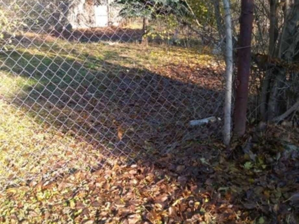 Земеделски имот в Кнежа -  кв.м за 3825 €/дка - Снимка #1