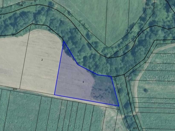 Земеделски имот в Видин, Калето -  кв.м за 1513 €/дка - Снимка #1