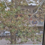 Тристаен апартамент в Силистра, Център - 80 кв.м за 702 €/кв.м - Снимка #1