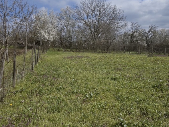 Къща в с. Добри дял, Област Велико Търново - 100 кв.м за 189 €/кв.м - Снимка #1