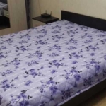 Дава се под наем Едностаен апартамент в Пловдив, Мараша - 40 кв.м за 234.6 € - Снимка #1