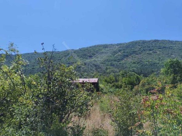 Парцел в Асеновград - 2201 кв.м за 28 €/кв.м - Снимка #1