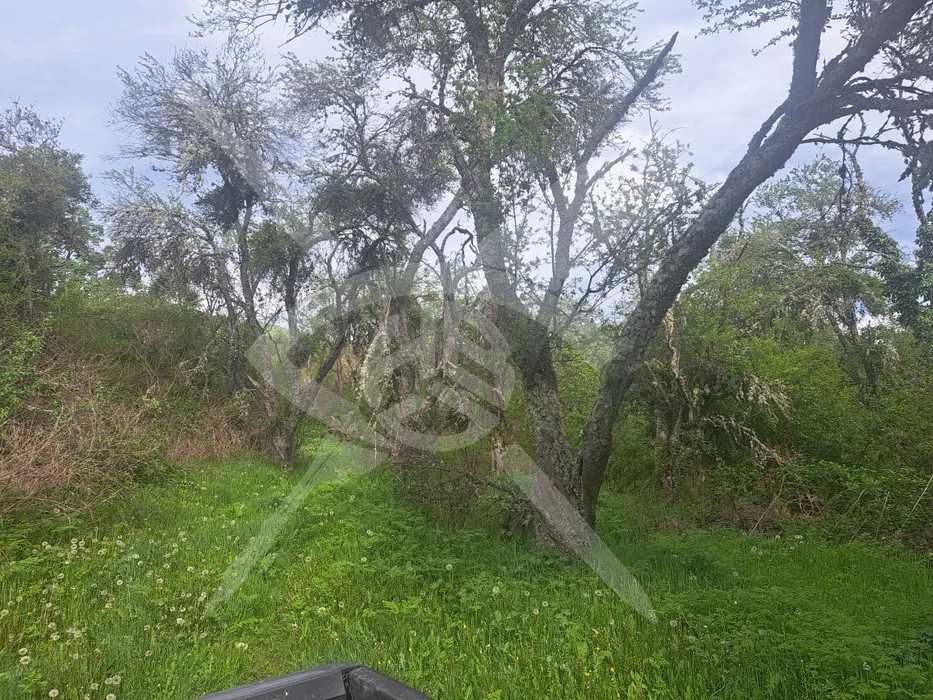 Парцел в с. Свежен, Област Пловдив - 2000 кв.м за 17 €/кв.м - Снимка #1