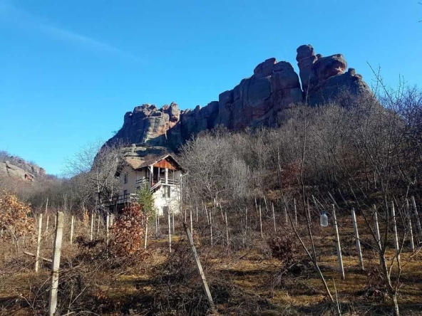 Къща в София, Банишора - 105 кв.м за 210 €/кв.м - Снимка #1