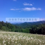 Парцел в с. Драшкова поляна, Област Ловеч - 4500 кв.м за 6 €/кв.м - Снимка #1