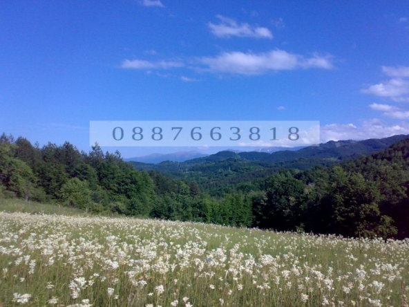 Парцел в с. Драшкова поляна, Област Ловеч - 4500 кв.м за 6 €/кв.м - Снимка #1