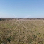 Парцел в с. Мирово, Област Стара Загора - 15337 кв.м за 7 €/кв.м - Снимка #1