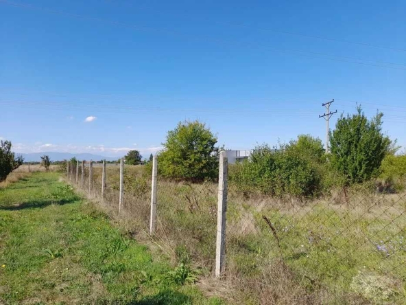 Парцел в Първомай - 3800 кв.м за 11 €/кв.м - Снимка #1