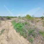 Земеделски имот в с. Брестник, Област Пловдив -  кв.м за 18105 €/дка - Снимка #1