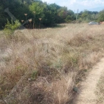 Парцел в с. Пролом, Област Пловдив - 2500 кв.м за 3 €/кв.м - Снимка #1