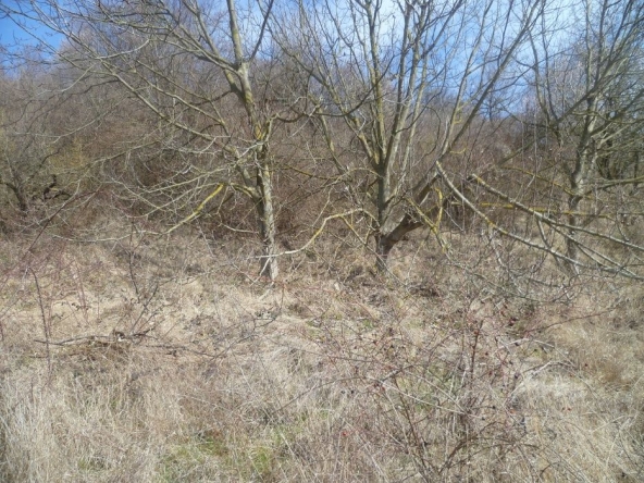 Парцел в Балчик - 2350 кв.м за 87 €/кв.м - Снимка #1