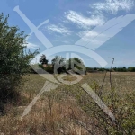 Парцел в с. Бяла река, Област Пловдив - 4200 кв.м за 8 €/кв.м - Снимка #1