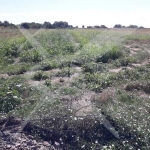 Парцел в Ахелой - 5000 кв.м за 22 €/кв.м - Снимка #1