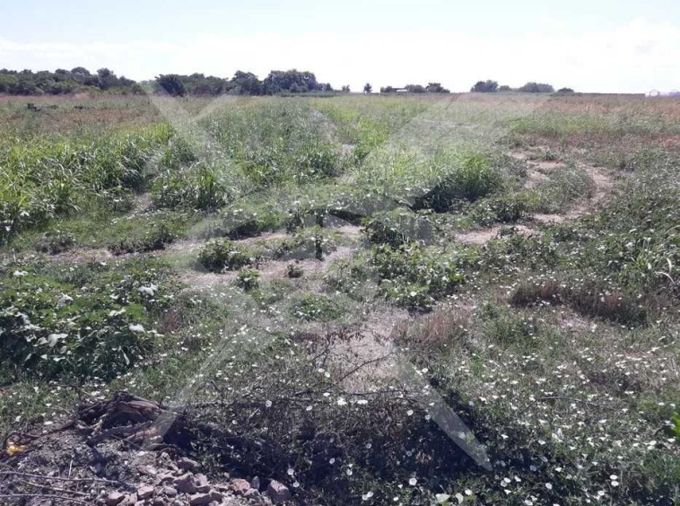 Парцел в Ахелой - 5000 кв.м за 22 €/кв.м - Снимка #1