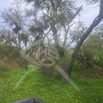 Парцел в с. Свежен, Област Пловдив - 2000 кв.м за 9 €/кв.м - Снимка #1