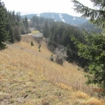 Парцел в к.к. Пампорово - 4550 кв.м за 49 €/кв.м - Снимка #1