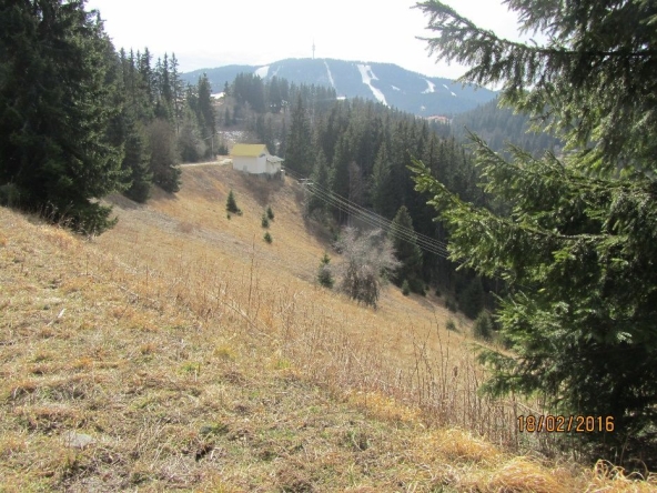 Парцел в к.к. Пампорово - 4550 кв.м за 49 €/кв.м - Снимка #1