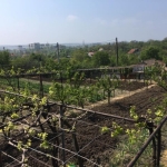 Парцел в Хасково, Куба - 1300 кв.м за 59 €/кв.м - Снимка #1