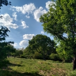 Парцел в с. Равна гора, Област Варна - 3405 кв.м за 34 €/кв.м - Снимка #1