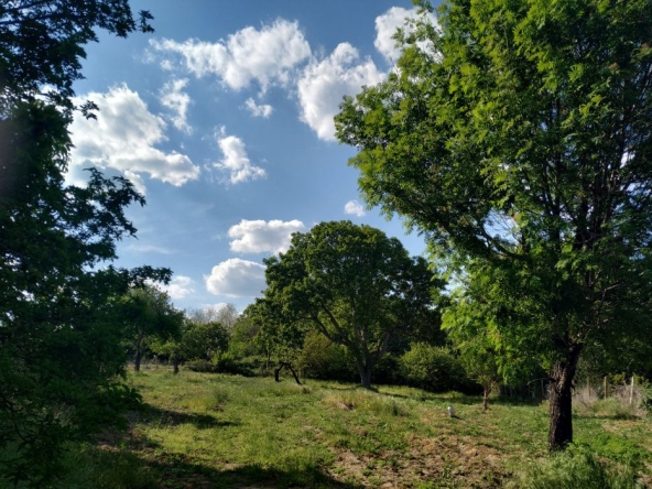 Парцел в с. Равна гора, Област Варна - 3405 кв.м за 34 €/кв.м - Снимка #1