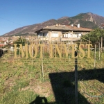 Парцел в Карлово - 570 кв.м за 71 €/кв.м - Снимка #1