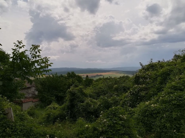 Парцел в с. Китка, Област Варна - 1150 кв.м за 11 €/кв.м - Снимка #1