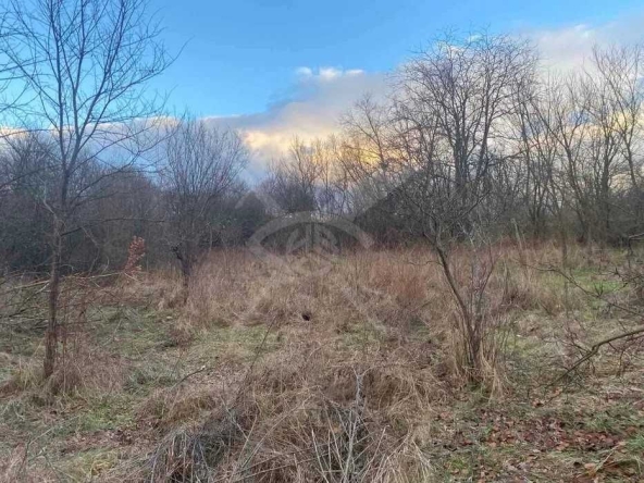 Парцел в с. Отец Паисиево, Област Пловдив - 1850 кв.м за 15 €/кв.м - Снимка #1