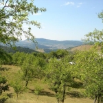 Парцел в Троян - 4821 кв.м за 8 €/кв.м - Снимка #1