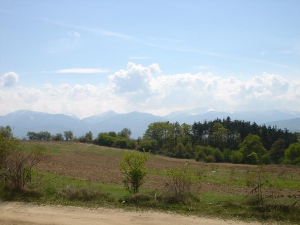 Парцел в с. Гуцал, Област София-област - 1803 кв.м за 14 €/кв.м - Снимка #1