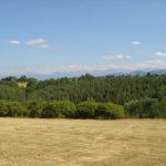 Парцел в с. Белиш, Област Ловеч - 3017 кв.м за 8 €/кв.м - Снимка #1