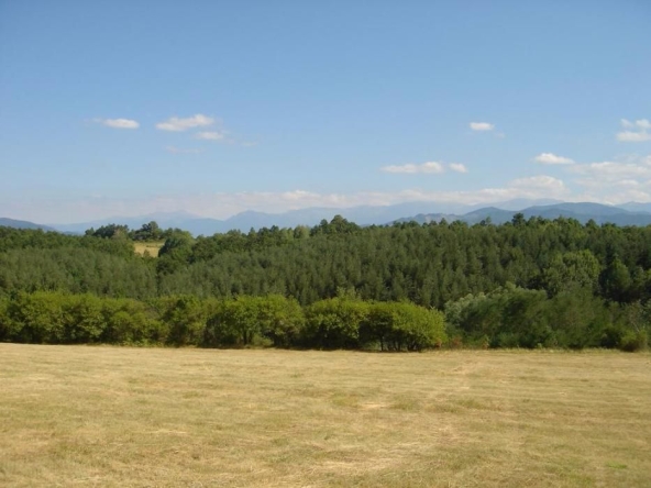 Парцел в с. Белиш, Област Ловеч - 3017 кв.м за 8 €/кв.м - Снимка #1