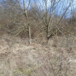 Парцел в Балчик - 2350 кв.м за 87 €/кв.м - Снимка #1