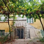 Къща в с. Дълго поле, Област Пловдив - 100 кв.м за 550 €/кв.м - Снимка #1